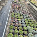 마서농장 이미지