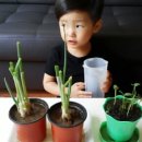 우유 아이스크림 만들기 이미지