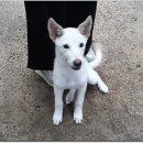 동이네집 이미지