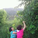 위천초등학교 이미지