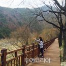 선암골 이미지