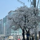 [성남/상대원동] 상대원카페 단체주문 가능한 샌드위치, 샐러드 카페르꼼뚜 센트럴비즈점