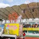 지리산남악제 및 군민의 날 행사 이미지