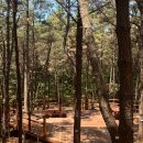 11/30(일) 영종도 백운산 &amp; 을왕리 가을바다 트레킹 공지 이미지