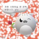일다방 이미지