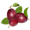 흐르는 강물을 바라 이미지