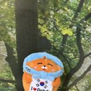 아이러브독도 | [Riview] 광복 80주년 독도강치 한국이 두둥 등장!