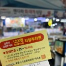 갈릴리 | 포항 죽도시장 맛집 갈릴리대게 애견동반 방문후기