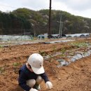 귀중농장 이미지