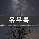 왕실보첩의 종류 및 수록 내용