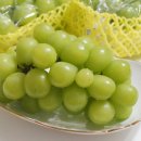 서진농장2 이미지