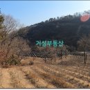 부용쉼터 이미지