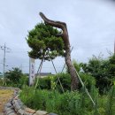 솔과황토 이미지