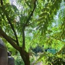 태림농원 이미지