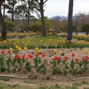 월출파크모텔 이미지