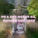 그린가든 | 자연 속 포켓몬 세상으로의 초대, 여미지식물원 포켓몬 그린가든 다녀온 후기