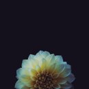 인천중앙한의원 이미지