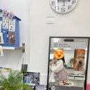 밍코 | 창원 가로수길 밍코아카이브, 글로엣 귀여운 소품샵 구경 후기