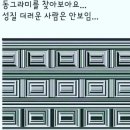 동그라미