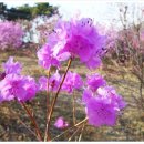 데이빗짐 이미지