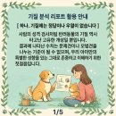 공감애견학교 | 🐾 멍비티아이로 알아본 라온이 성향! 프래들 애견학교 행동성향분석 후기✨