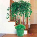 한빛 꽃농원 이미지