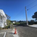 제주도부동산랜드공인중개사사무소 이미지