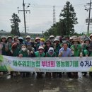 신례1리 네이버블로그