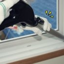 수원-1855 이미지