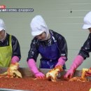 해남김치마을 이미지