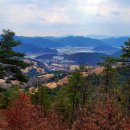 주산 이미지