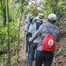 통영 장사도, 매물도, 소매물도 탐방기(일반용) 이미지