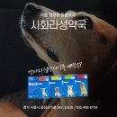 시화라성약국 이미지