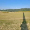 스카이골프연습장클럽 이미지