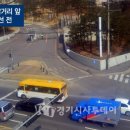 보라1통 이미지