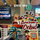 The name PC | 필리핀 전자 입국신고서 세부 이트래블 작성 방법 입국심사 질문