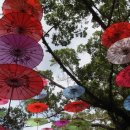 찬기농장 이미지