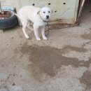 터줏골송정점 이미지