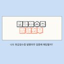 “현금영수증 꼭 발급해야 해요!” 현금영수증 발행의무 업종 총정리💵