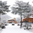 백담소나무계곡펜션 이미지