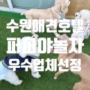 한국피앤지산업(주) | [공지] 수원 강아지 호텔 퍼피야놀자 한국소비자산업평가 반려동물 부문 선정!