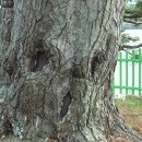 수산리-15 이미지