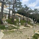 파인 관광농원 이미지