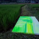 중동2리 이미지