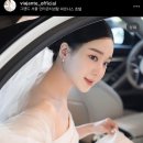 비아잔떼
