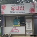 원종동속눈썹 유니샵 D컬 초코브라운 연장후기