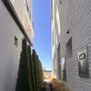 더놀 | [대부도 대형 풀빌라] 더놀풀빌라 대가족 여행 후기 - 성인 28명 이용가능