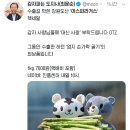 강원도산 아스파라거스 1kg 7천원(매주 월,목 오전 10시) 이미지