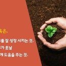 점핑클럽줄넘기 이미지