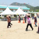 군북-12 이미지